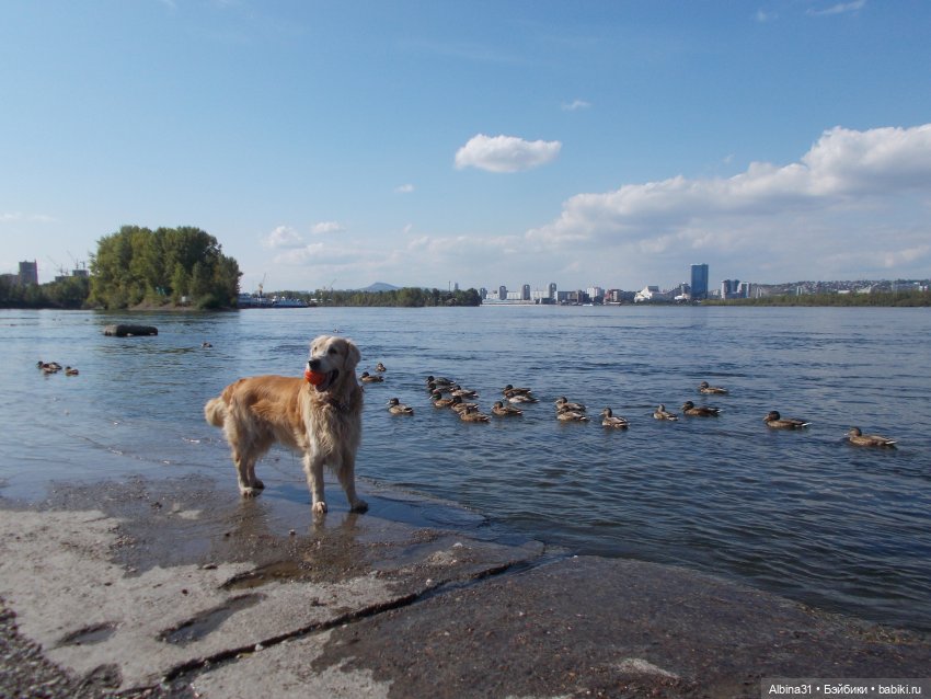 Сентябрь. Городские зарисовки