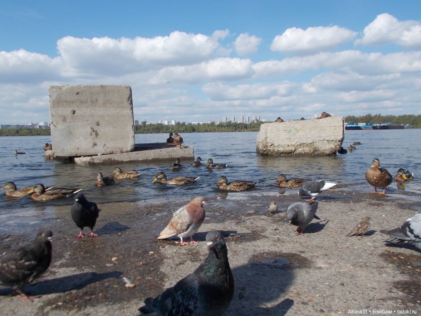 Сентябрь. Городские зарисовки