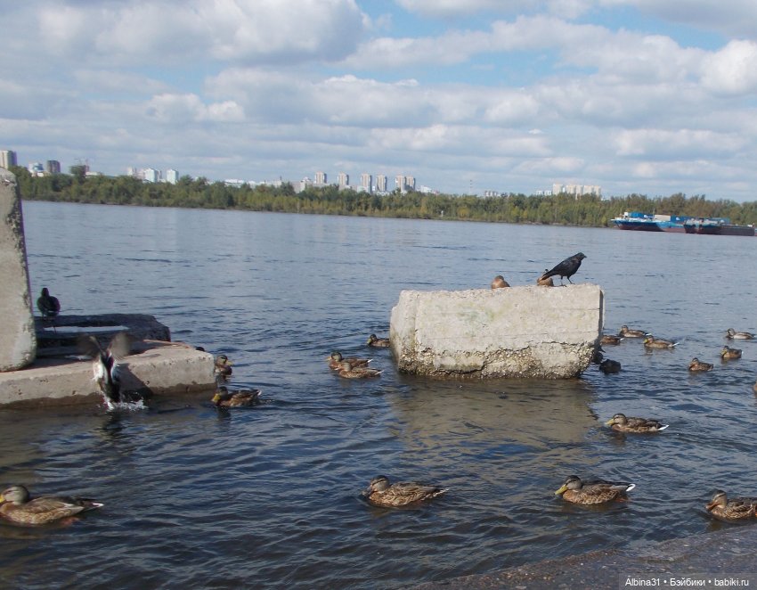 Сентябрь. Городские зарисовки