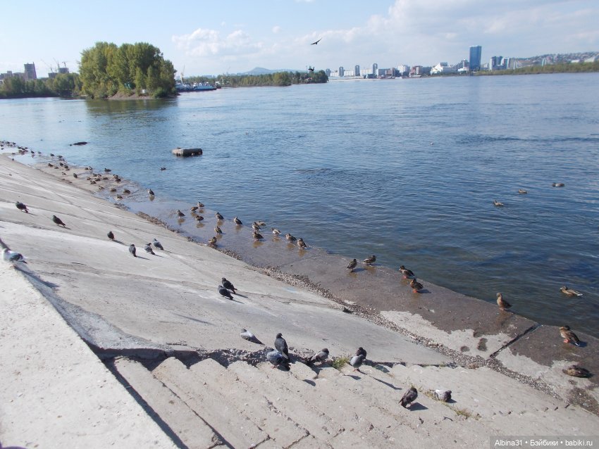 Сентябрь. Городские зарисовки (фото 8)