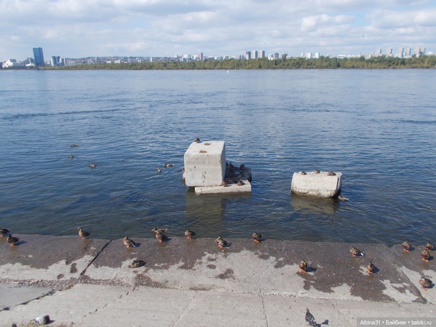 Сентябрь. Городские зарисовки (фото 7)