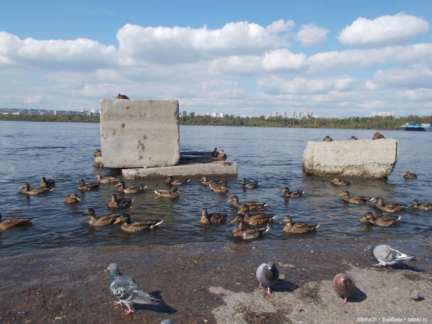 Сентябрь. Городские зарисовки