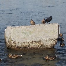 Сентябрь. Городские зарисовки