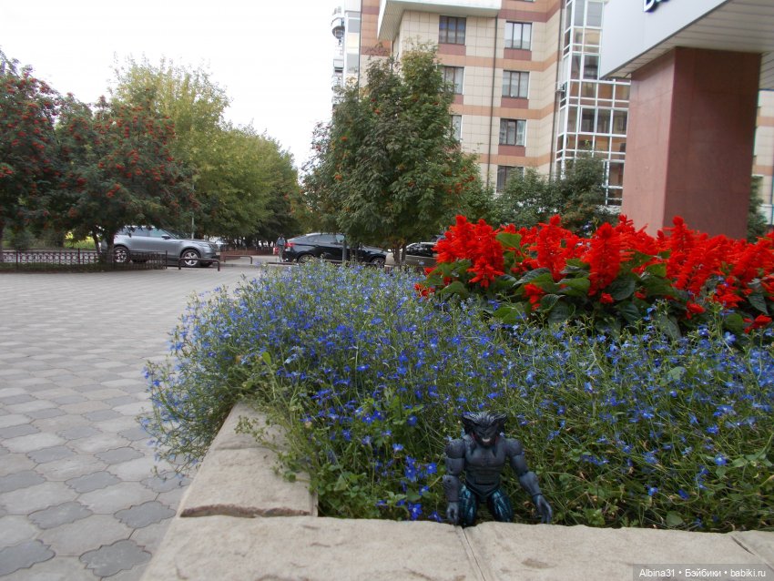 Городские зарисовки. Новенький... Х-мен