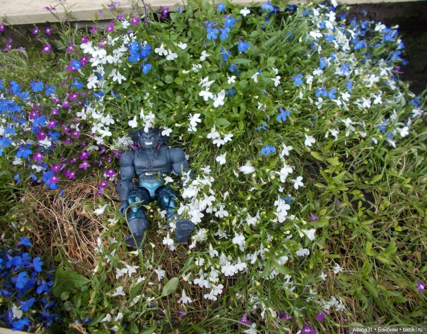 Городские зарисовки. Новенький... Х-мен