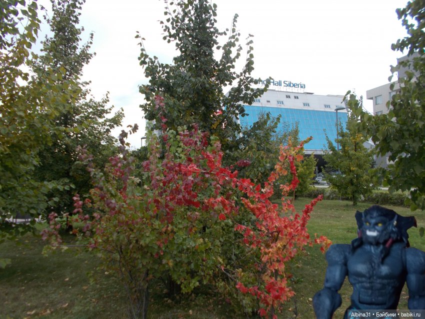 Городские зарисовки. Новенький... Х-мен