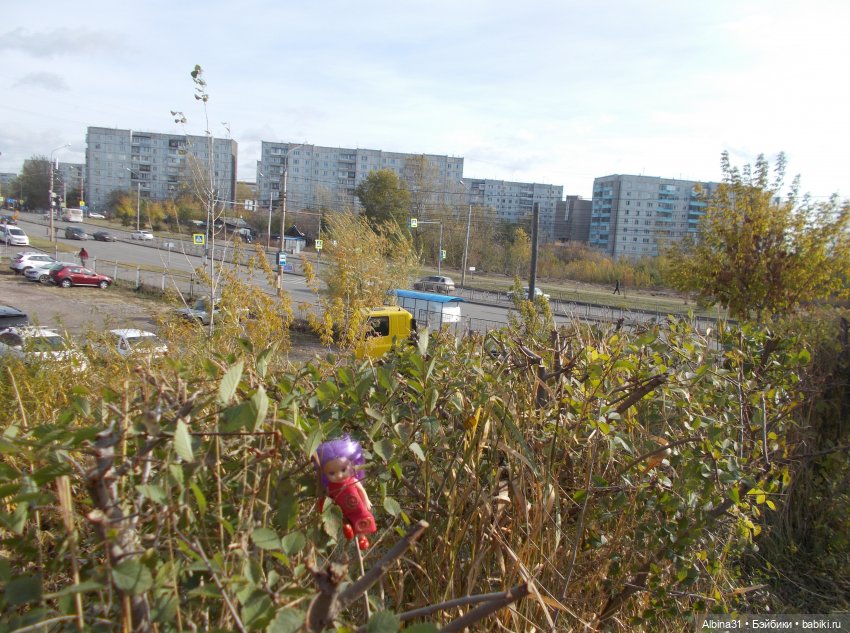 Осень. Городские зарисовки