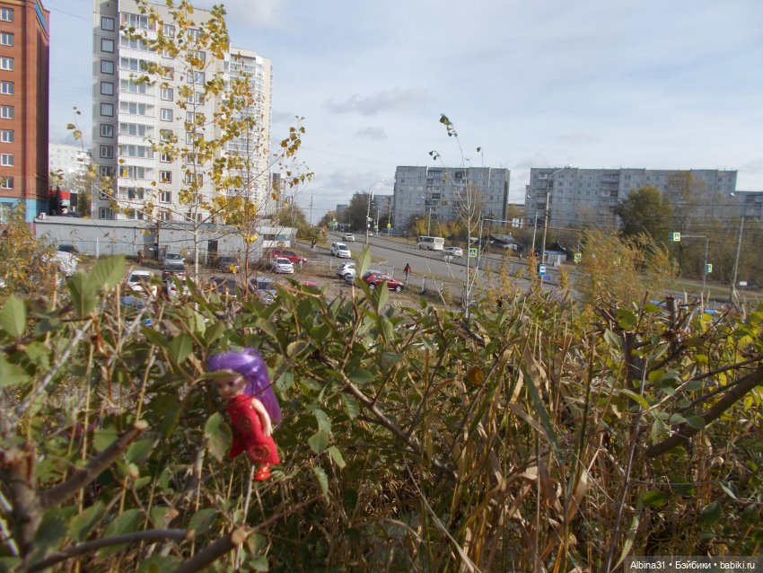 Осень. Городские зарисовки