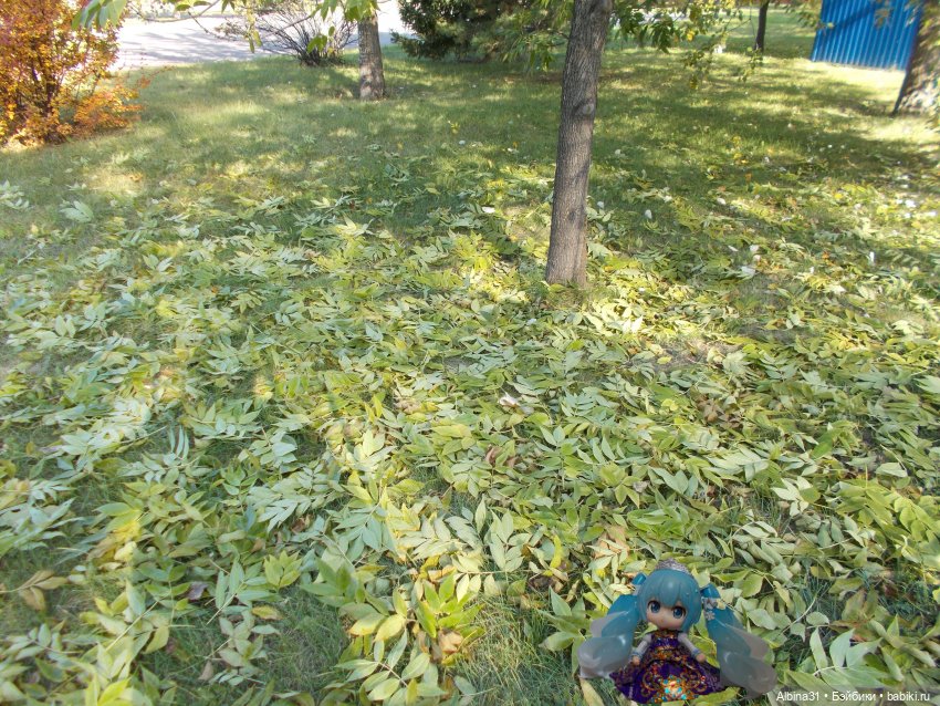 Осень. Городские зарисовки