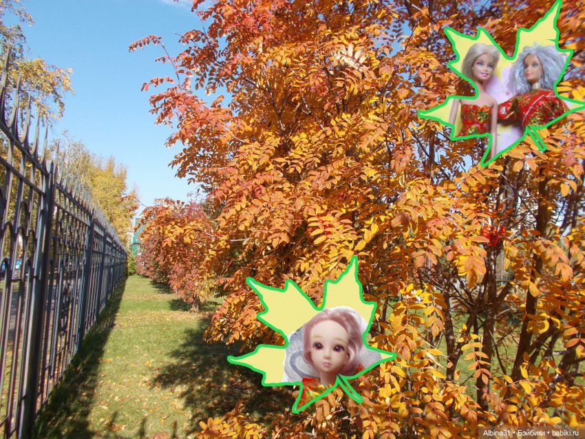 Осень. Городские зарисовки