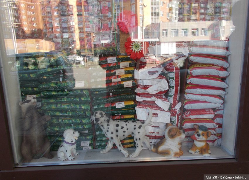 Городские зарисовки. Октябрь, 2021