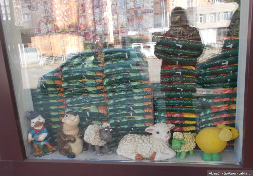 Городские зарисовки. Октябрь, 2021