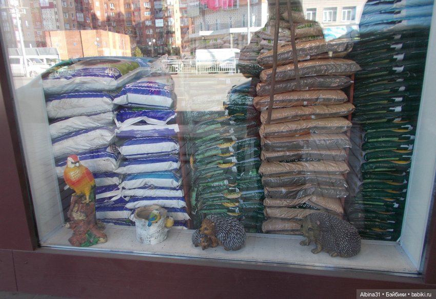 Городские зарисовки. Октябрь, 2021