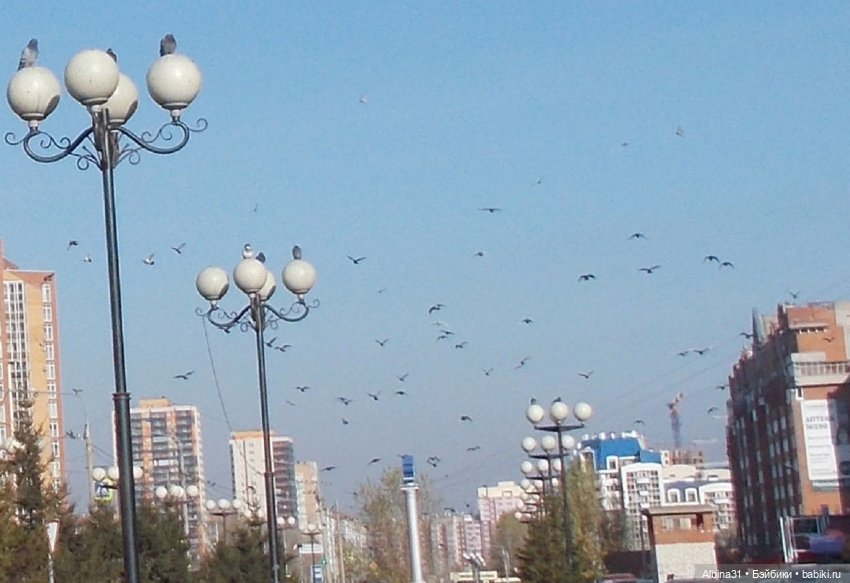 Городские зарисовки. Октябрь, 2021