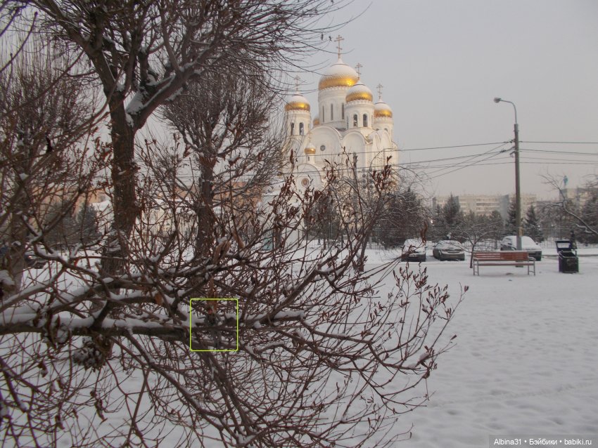 Новогодний Красноярск, часть первая