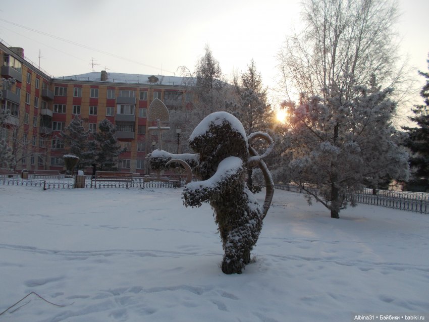 Новогодний Красноярск, часть первая (фото 4)