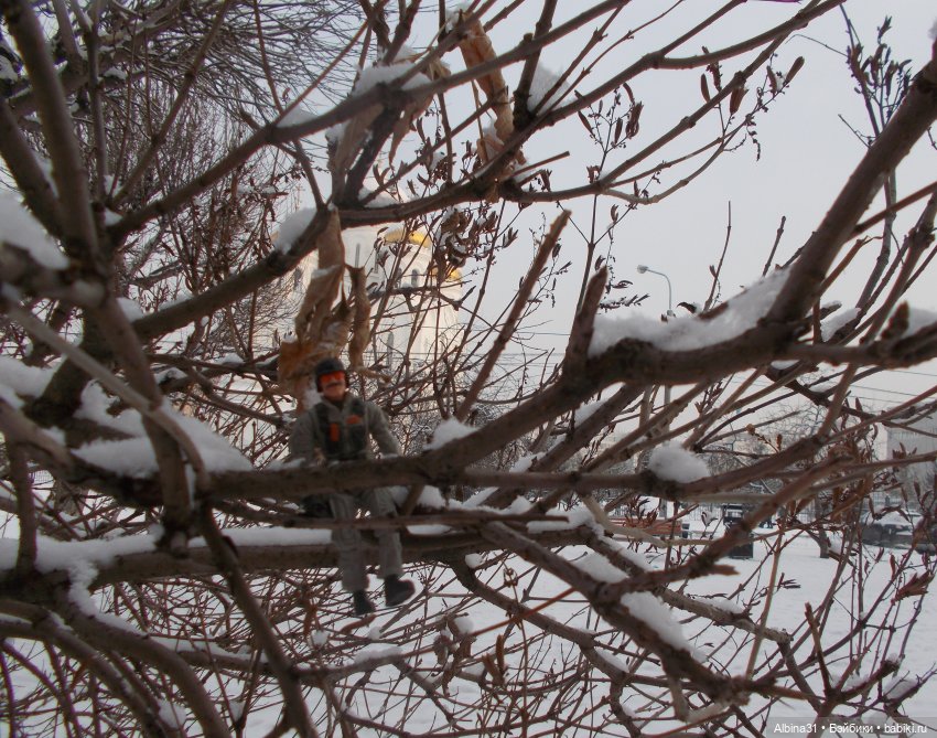 Новогодний Красноярск, часть первая