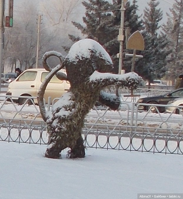Новогодний Красноярск, часть первая (фото 3)