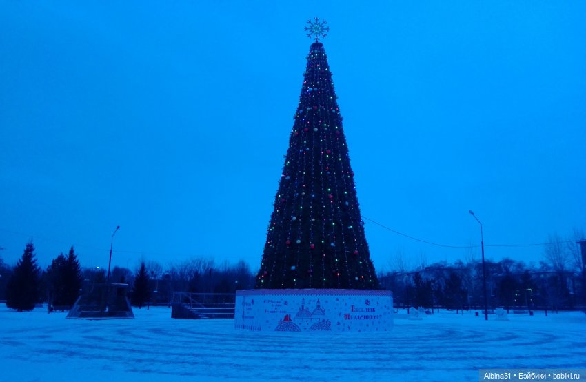 Новогодний Красноярск, часть вторая (фото 3)