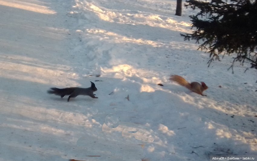 Центральный и на Каменке — Игровые куклы разных производителей (Разное): редкие бренды