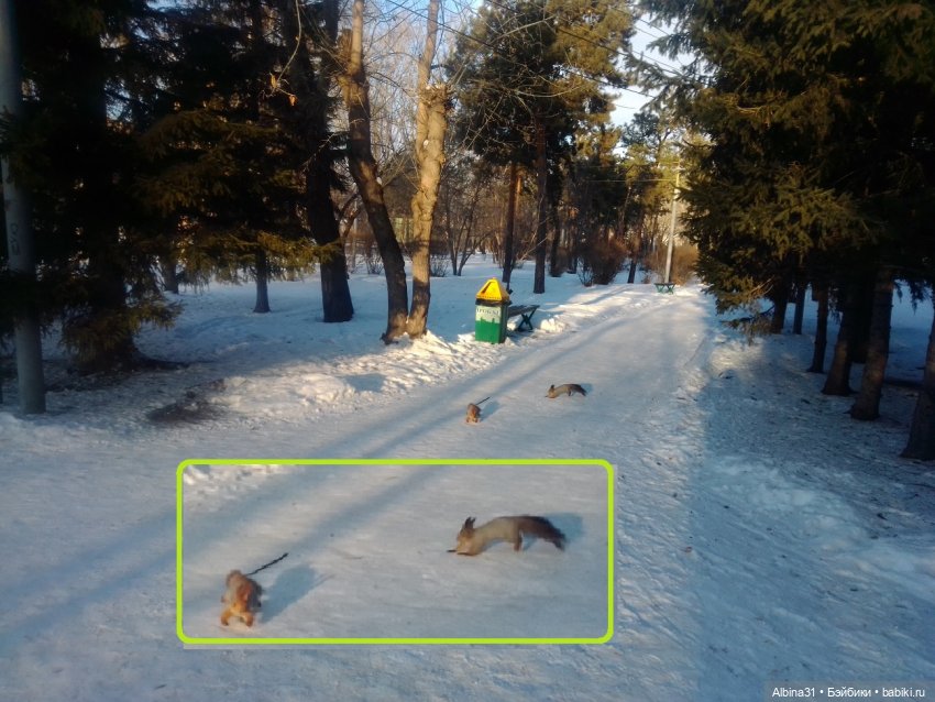 Центральный и на Каменке — Игровые куклы разных производителей (Разное): редкие бренды