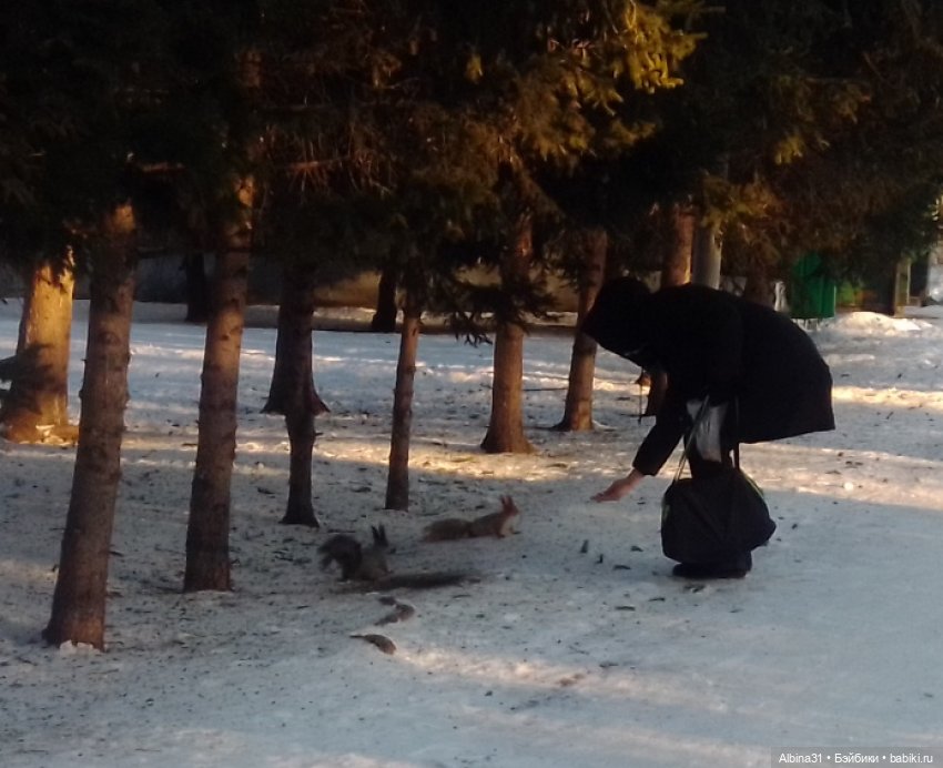 Центральный и на Каменке — Игровые куклы разных производителей (Разное): редкие бренды