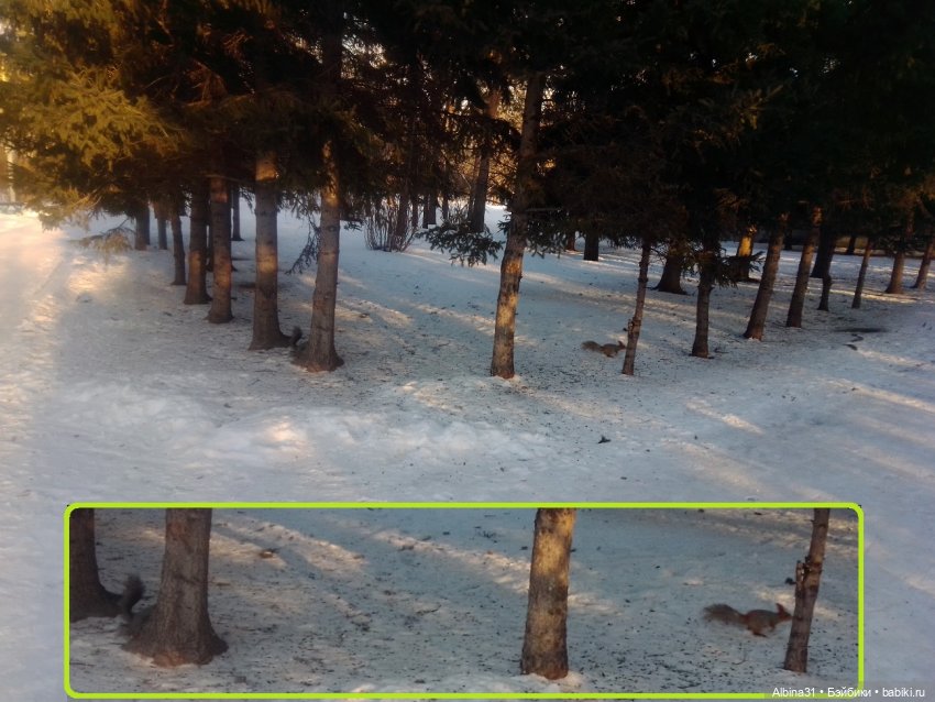 Центральный и на Каменке — Игровые куклы разных производителей (Разное): редкие бренды