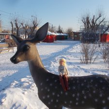 Прогулка по городу