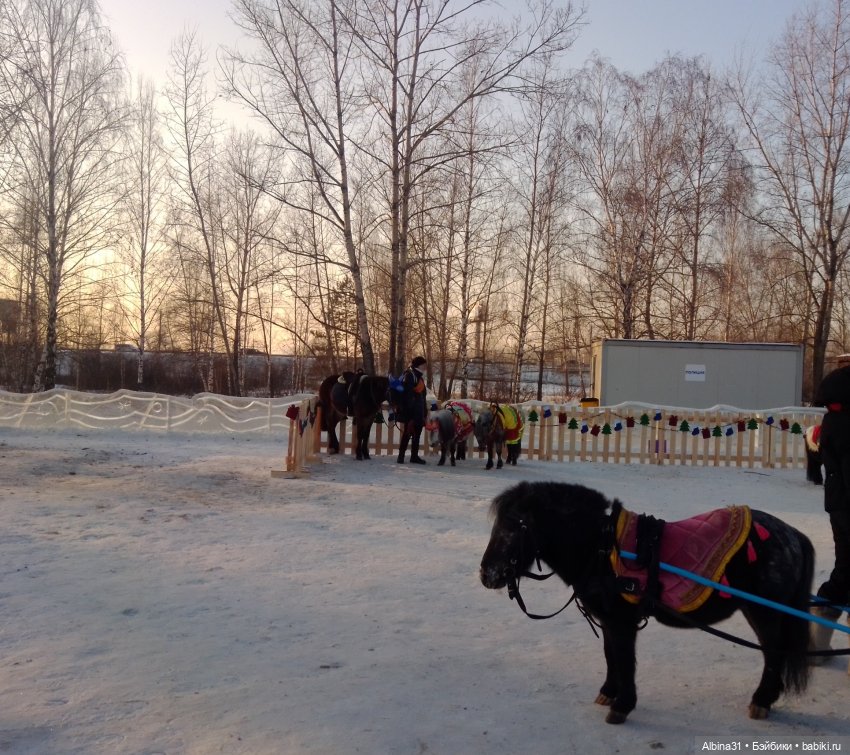 Новогодний Красноярск, часть третья