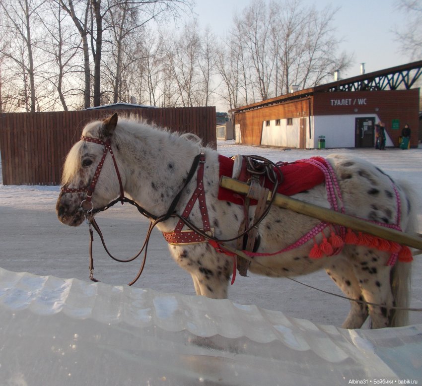 Просто так... гуляем — Игровые куклы разных производителей (Разное): редкие бренды