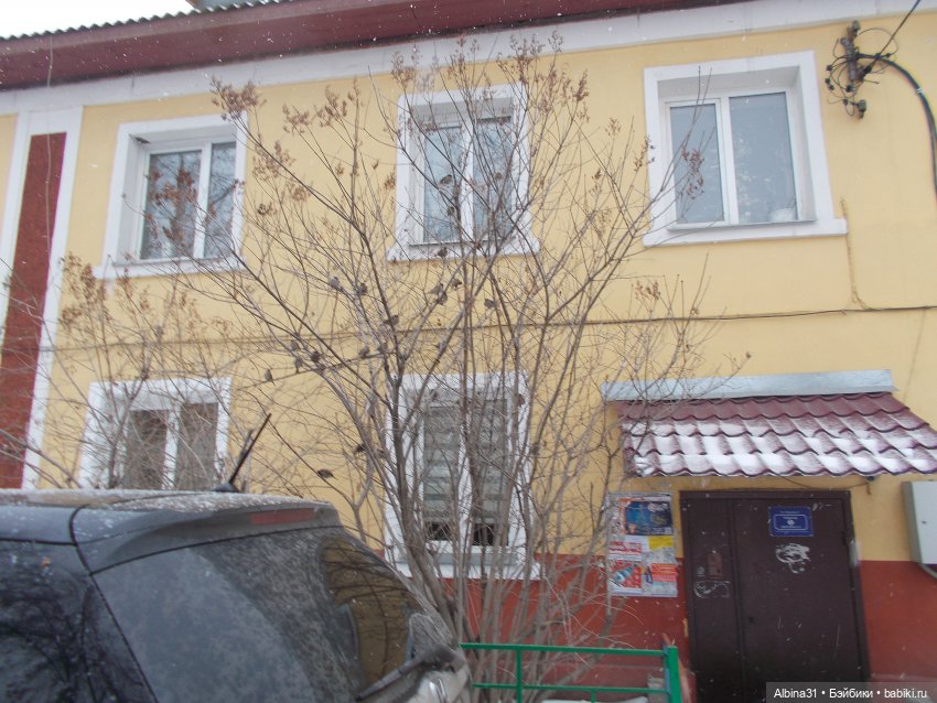 Городские зарисовки, начало 2022 года (фото 3)