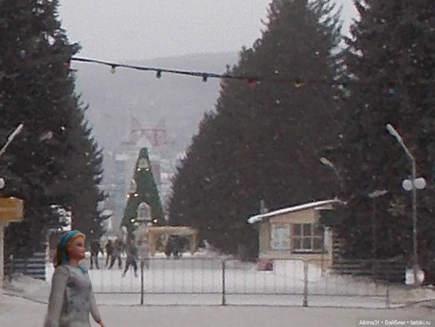 Новогодний Центральный парк (фото 5)