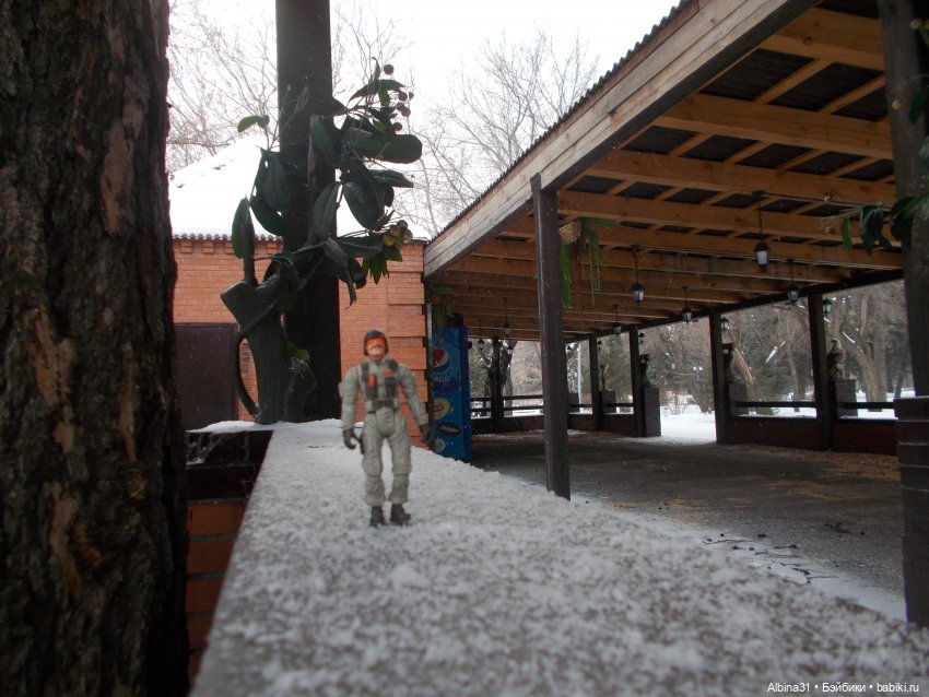 Новогодний Центральный парк