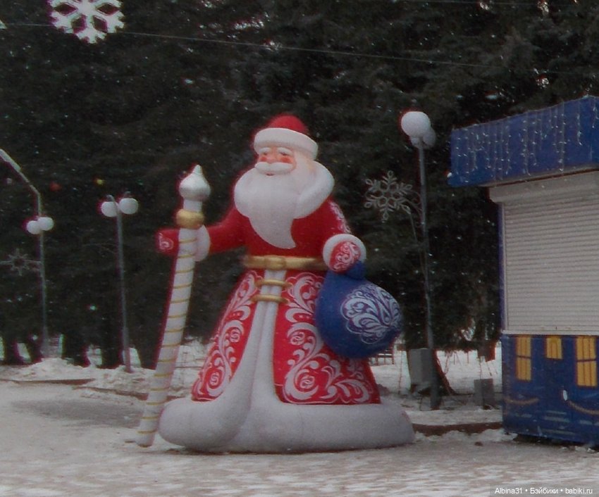 Новогодний Центральный парк (фото 2)