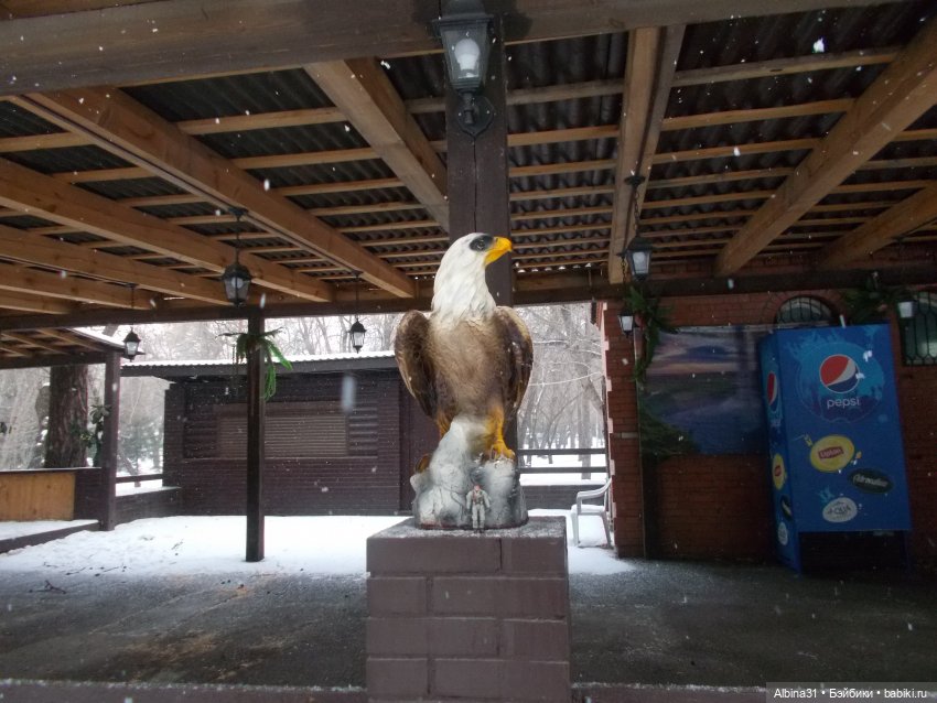 Новогодний Центральный парк