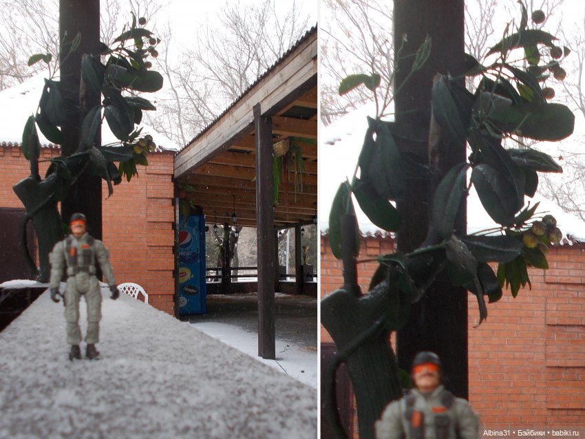 Новогодний Центральный парк