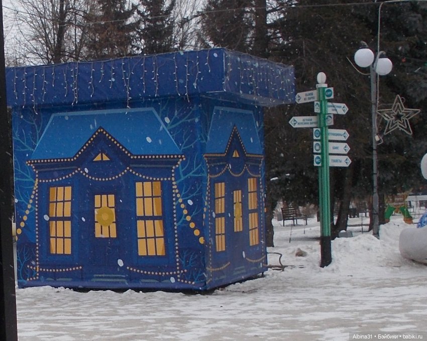 Новогодний Центральный парк (фото 4)