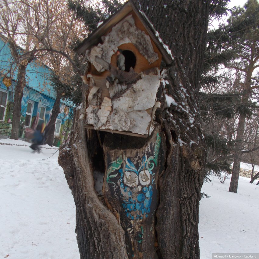 Новогодний Центральный парк