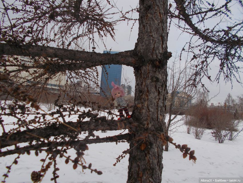 Зимняя прогулка по набережной 2022 год (фото 9)