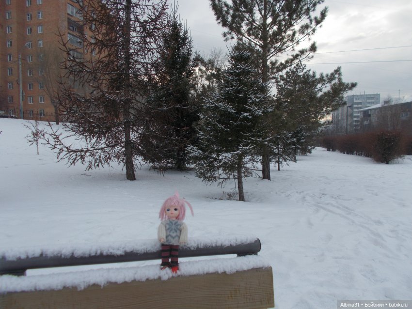 Январские прогулки. 2022 год