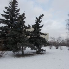 Городские зарисовки. Январь 2022