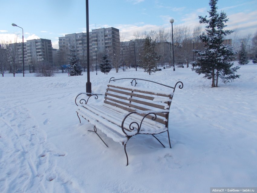 Январские прогулки. 2022 год