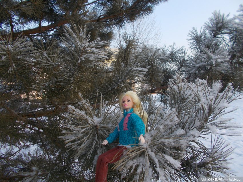 Январские прогулки. 2022 год (фото 4)