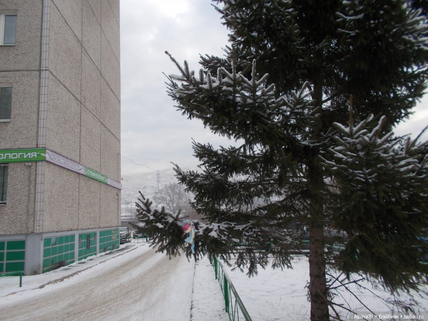 Январские прогулки. 2022 год