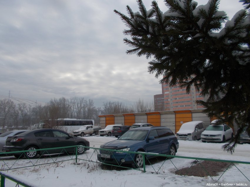 Январские прогулки. 2022 год