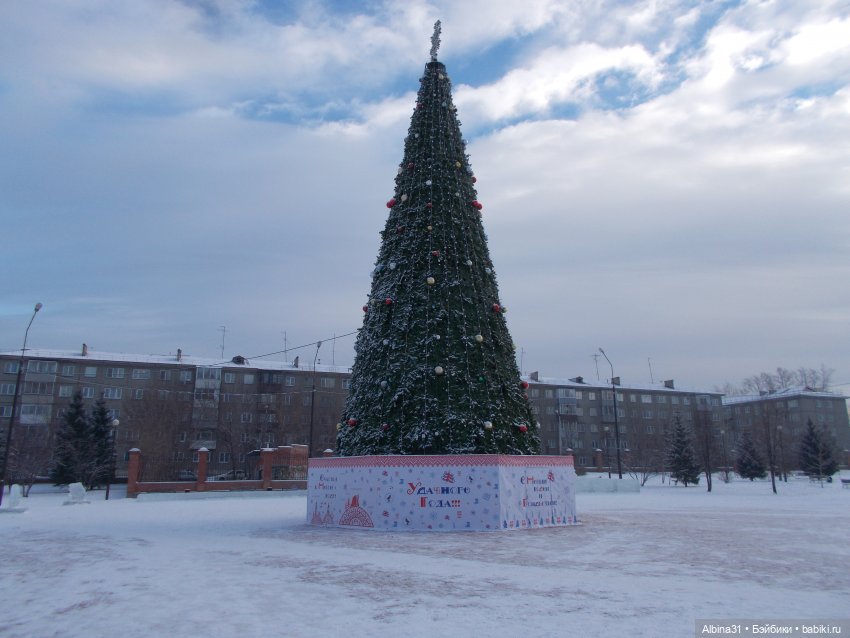 Январские прогулки. 2022 год (фото 9)