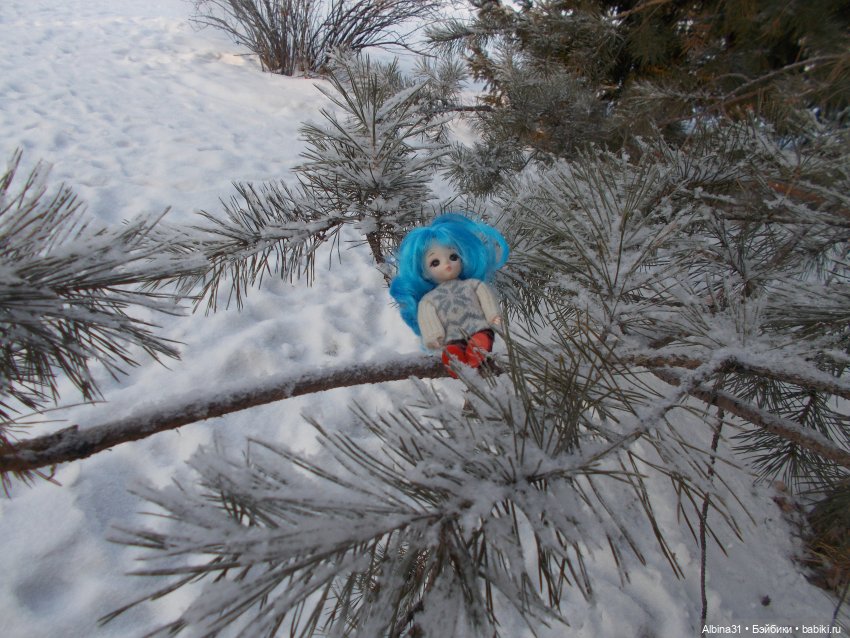 Январские прогулки. 2022 год (фото 3)