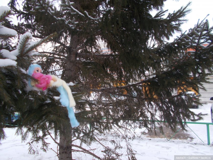 Январские прогулки. 2022 год