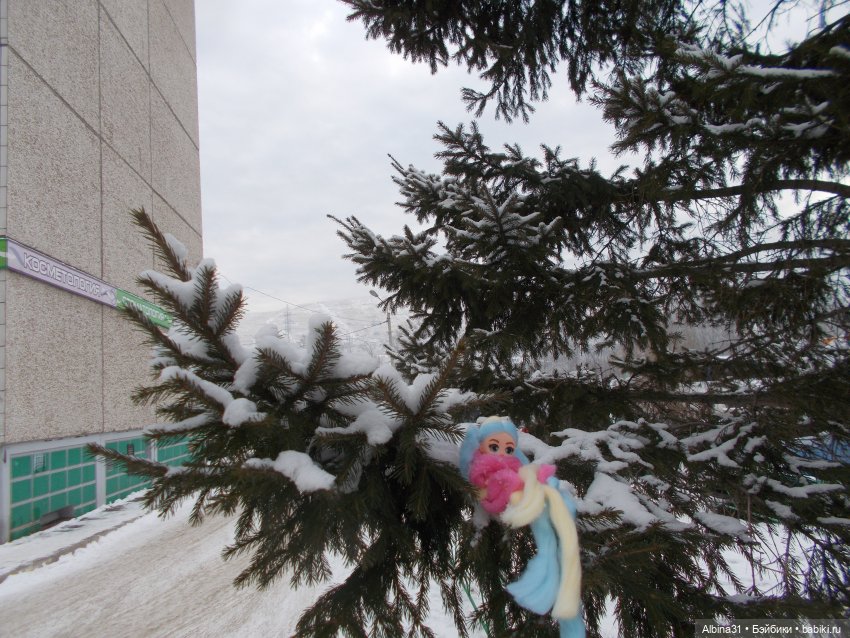 Январские прогулки. 2022 год