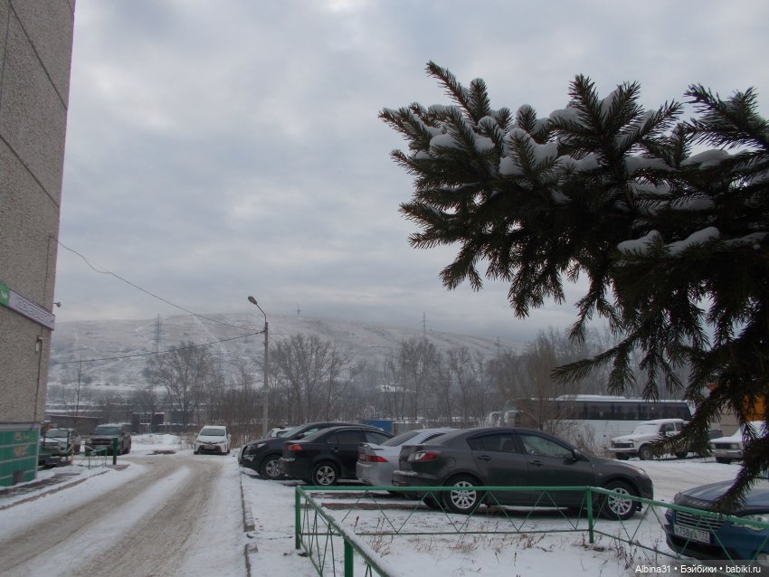 Январские прогулки. 2022 год